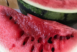 翰林府国产吃瓜爆料,揭秘娱乐圈幕后真相